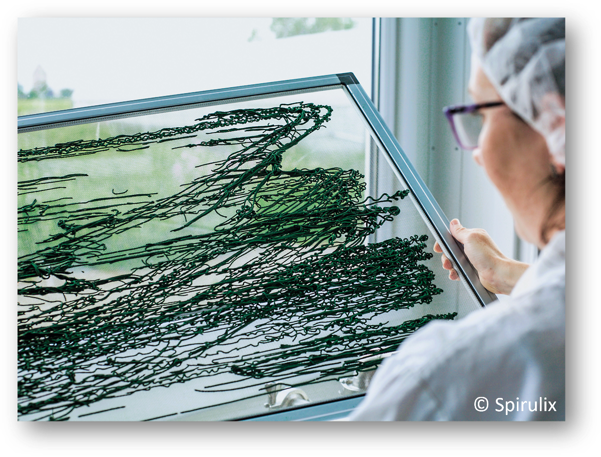 Geschmiere auf Glasscheibe