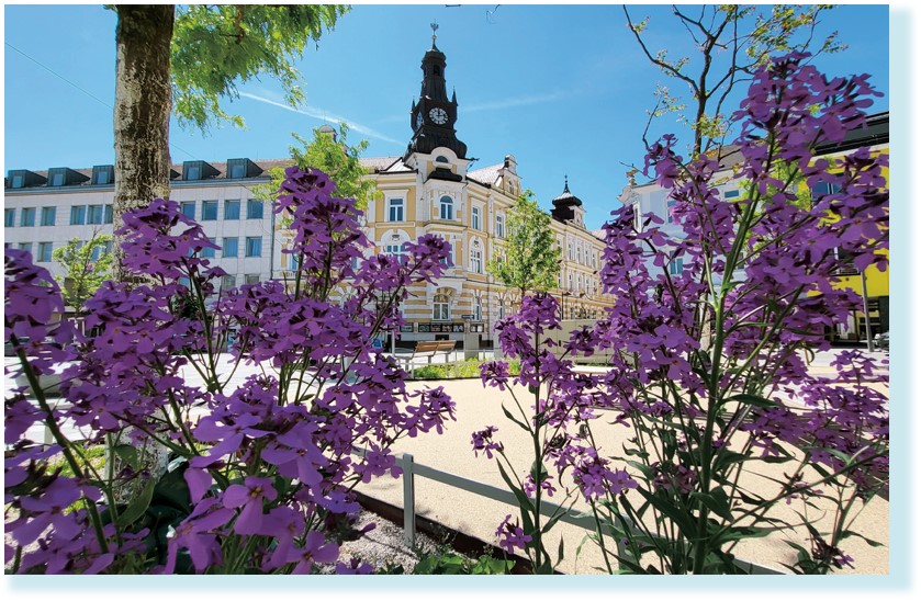 Grafik zu Amstetten